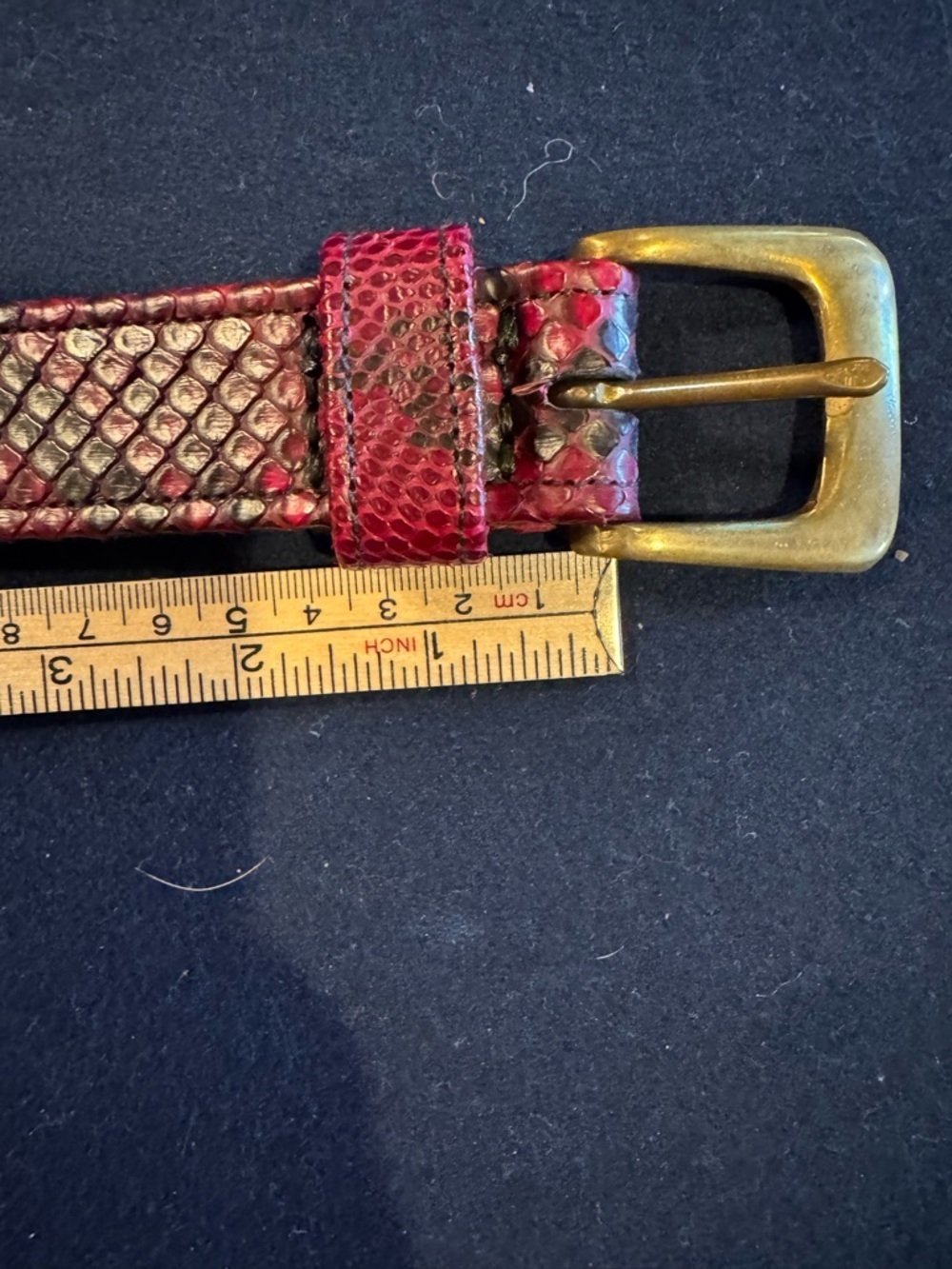 Italian Red Snakeskin Textured Leather Belt with Brass Buckle Sz M